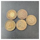 Five Indian Head Pennies, Various Dates