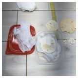 Assorted sand dollars