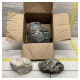 Three fossilized rocks per consigner