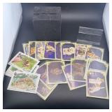 Lot of animal cards, various kinds of animals