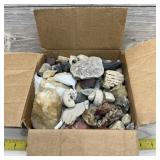 Assorted fossilized rare and unique rocks per cons