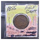1855 Half Cent (Scratch)
