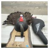 Turkey Display and Turkey Decoy Lot.