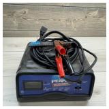 Peak 2 Amp Battery Charger