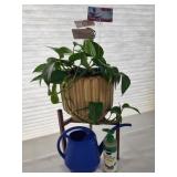 House Plant Growing Gifts