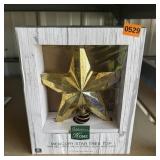 Mercury Star Tree Top