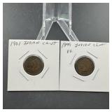 1899 and 1901 Indian Head cents.