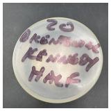 (20) Bicentennial Kennedy Half Dollars Roll