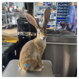 Bunny Rabbit Figure Measuring Approximately 20 Inc
