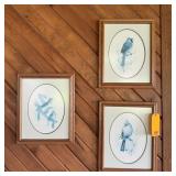 3 Metal-frame Decorative Side Tables