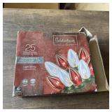 Box of 25 outdoor transparent replacement lamp lig