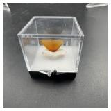 Amber Gemstone in Display Case