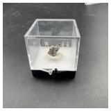 Metallic Meteorite Fragment in Display Box