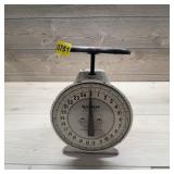 Hanson Model 2000 Utility Scale 25 lb Capacity