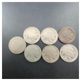 1906 Liberty Nickel and 6 Buffalo Nickels