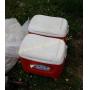 (2) Coolers