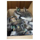Box of Duck Decoys (BS)