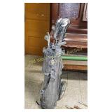 Golf Clubs & Carrier (BS)