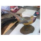 Pheasant