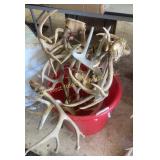 Tub of Antlers