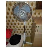 Fan (B)
