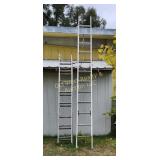 Extension Ladder - Right One