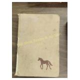 "My Friend Flicka" Book