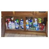 Cupboard of Cleaning Products (BA)