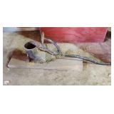 Antique Sausage Stuffer (BG)