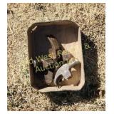 Box of Hammer Heads (BG)