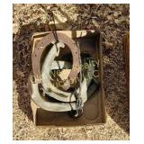 Box of Horseshooes (BG)