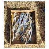 Box of Pliers (BG)