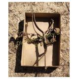 Antique Cattle Hobbles & Stopper (BG)