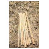 Assorted Yardsticks (WG)