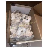 Box of Sea Shells (BS)