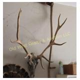 Elk Mount (G)