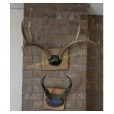 (4) Deer & Antelope Mounts (BS)