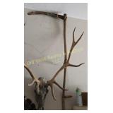 Antique Scythe (G)