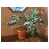 Artificial Plant (U)