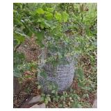 (2) Rolls Woven Wire