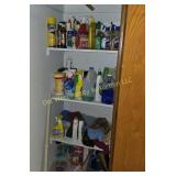 Closet of Cleaning Products
