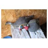 (3) Turkey Decoys