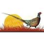 Medicine Creek Pheasants Forever Chapter