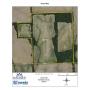 Tract #1: 55.25+/- Acres