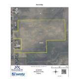 Tract #2: 81.99 Acres +/-  w/81.75 +/- Tillable