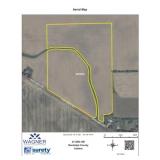 TRACT #3: 53.4  Acres +/- w/ 50.4 +/- Tillable