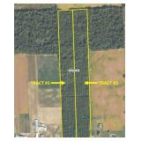18 +/- Wooded Acres