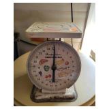 Food Scale