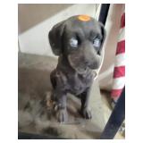 Dog Statue