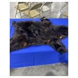 Bearskin Rug